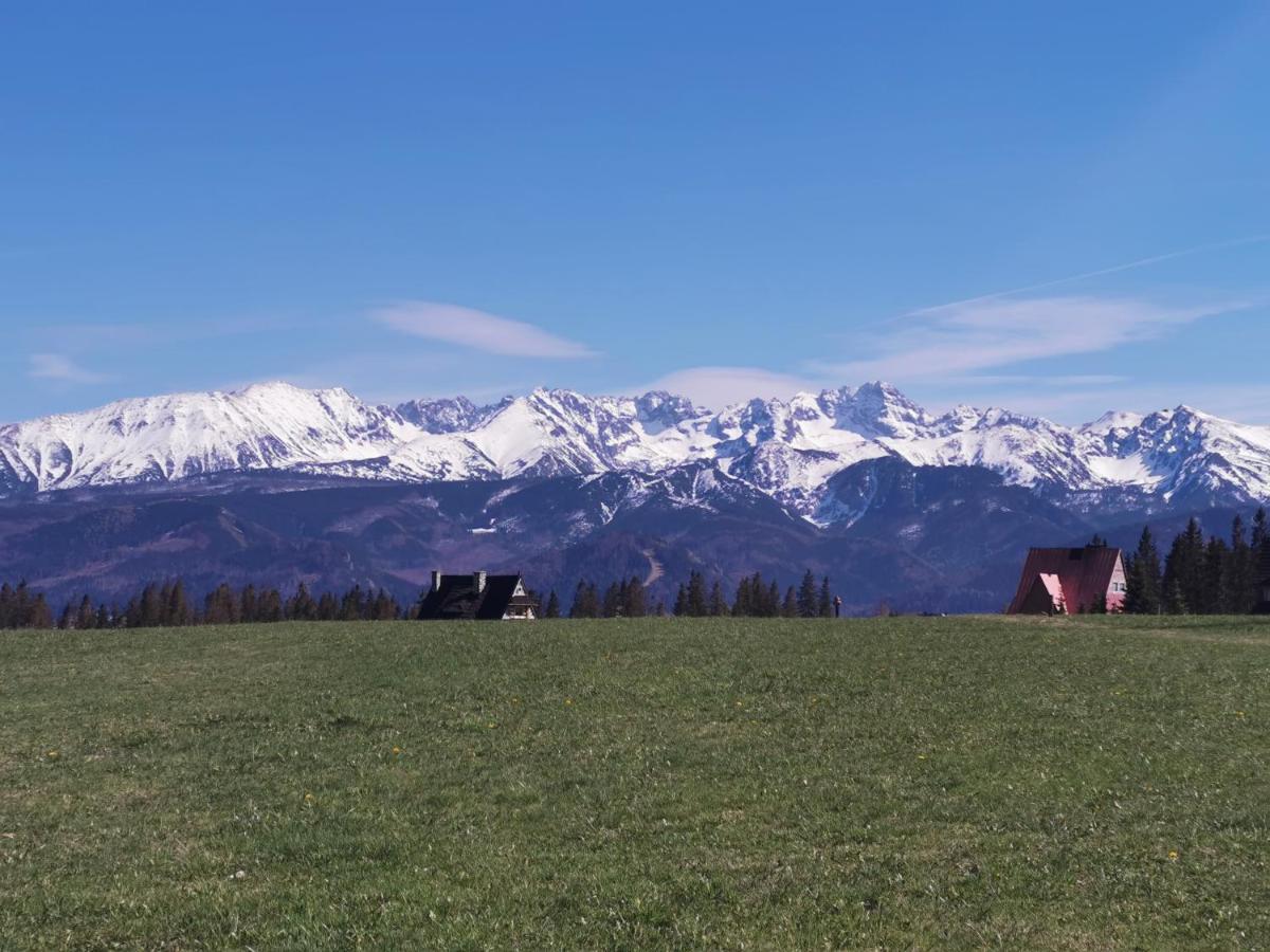 Dom Wczasowy Na Szczycie Zakopane Eksteriør bilde