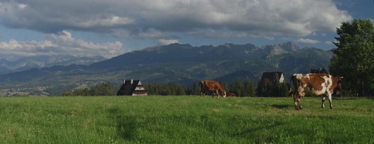 Dom Wczasowy Na Szczycie Zakopane Eksteriør bilde